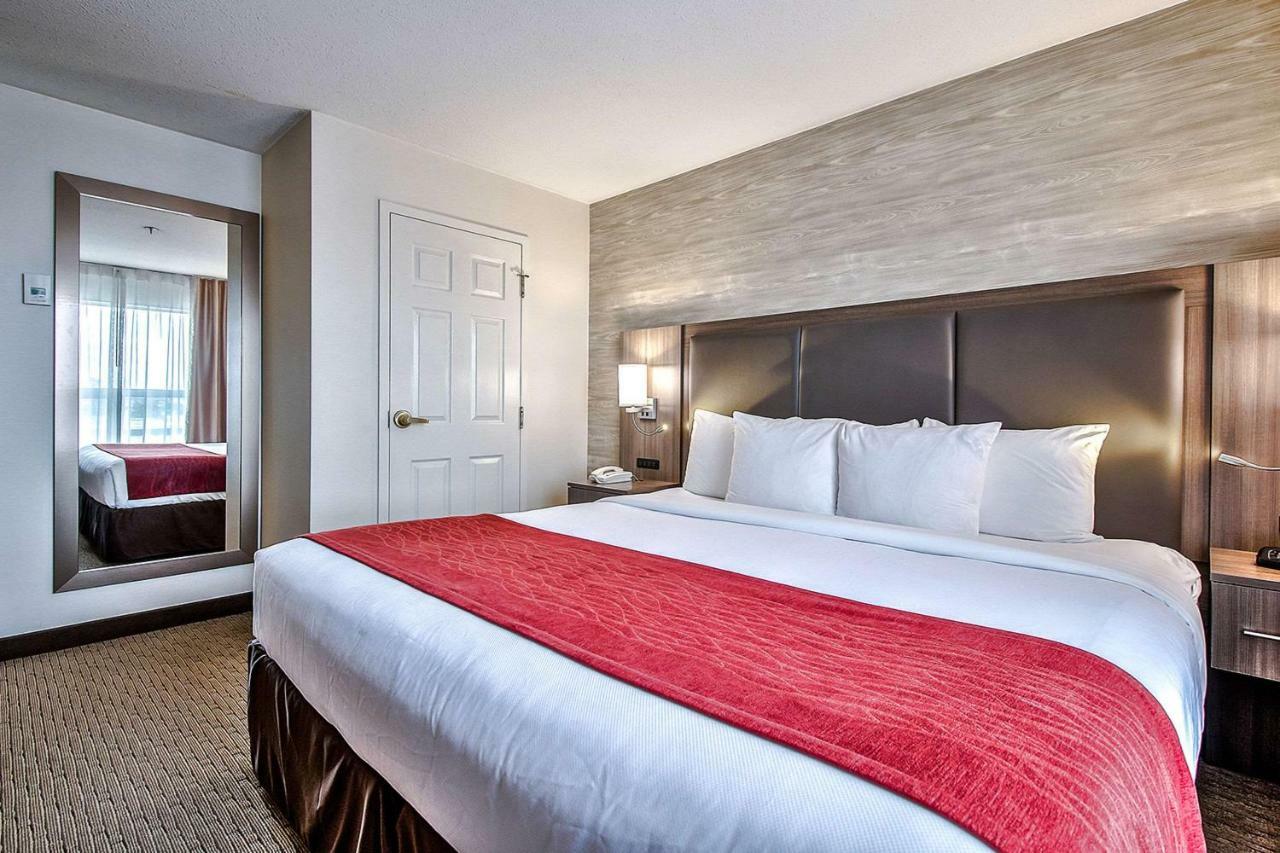 Comfort Inn & Suites South YYC Екстериор снимка